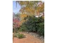 9 Veale Street, Monash ACT 2904