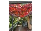 9 Veale Street, Monash ACT 2904