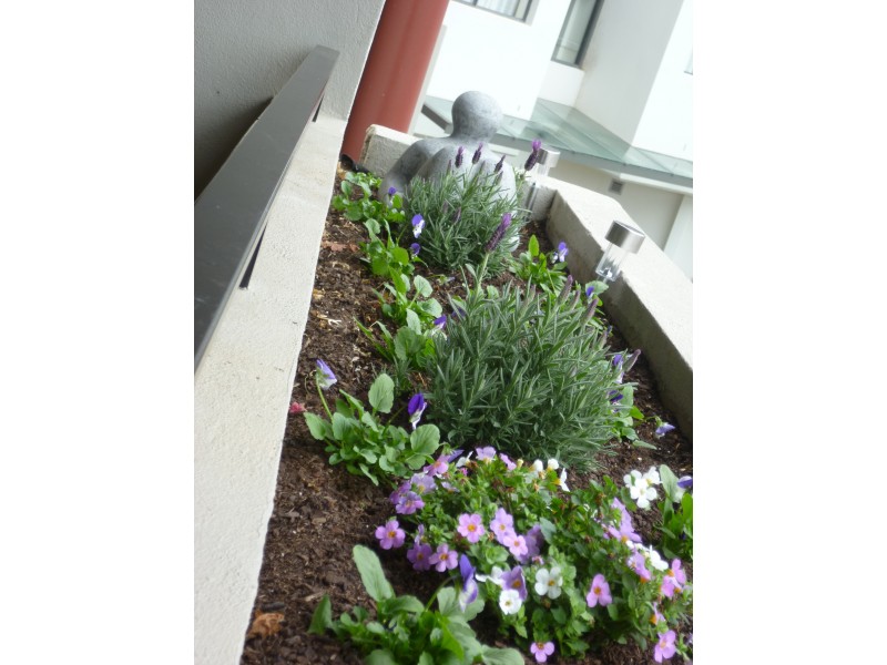 14/2 Eileen Good Street, Greenway ACT 2900