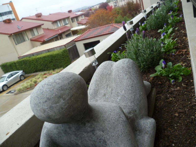 14/2 Eileen Good Street, Greenway ACT 2900