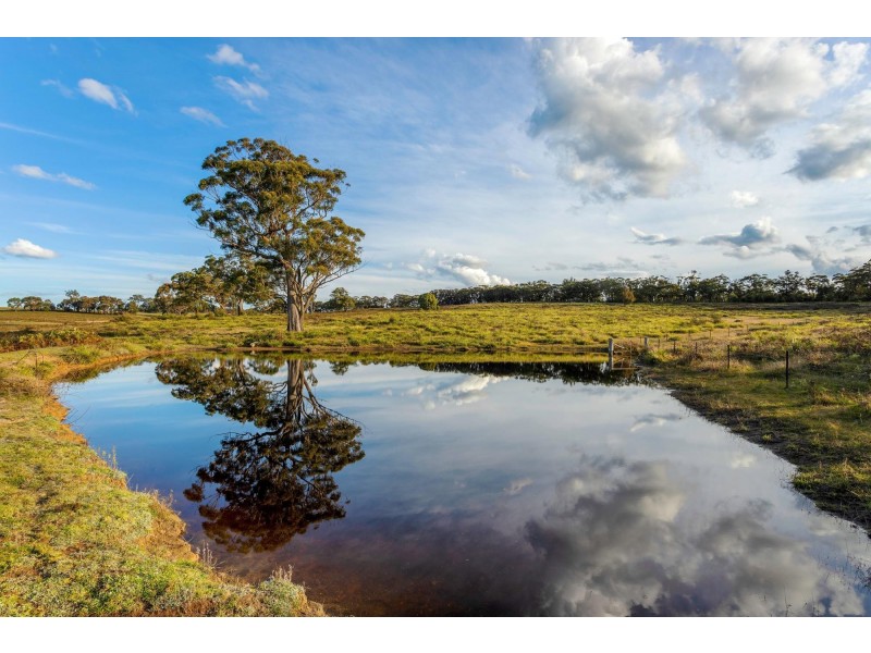 276 Nandi Road, Wingello NSW 2579