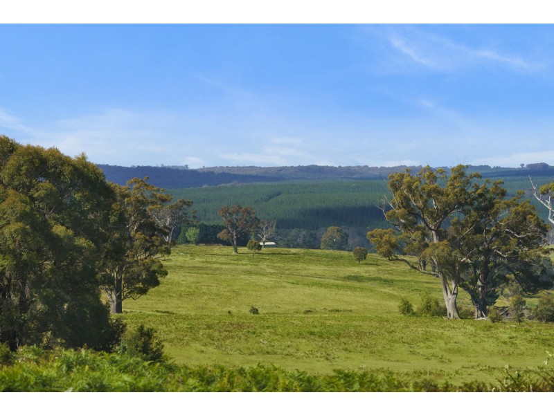 276 Nandi Road, Wingello NSW 2579