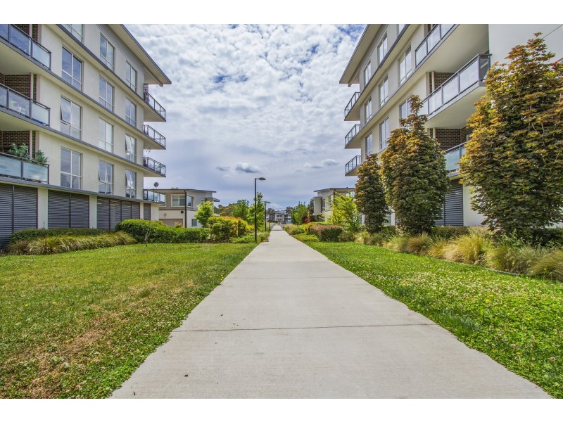 80/1 Limburg Way, Greenway ACT 2900