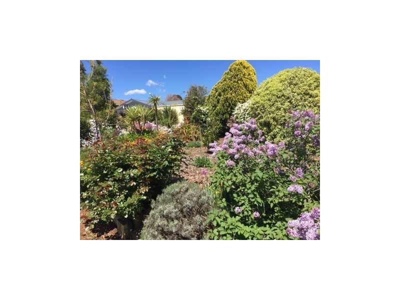 4 Rapke Place, Chisholm ACT 2905