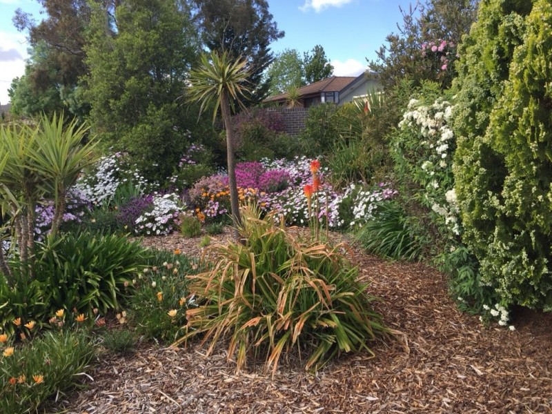 4 Rapke Place, Chisholm ACT 2905