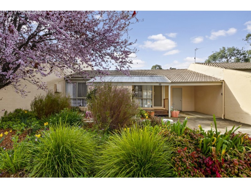13/71 Morrison Street, Kambah ACT 2902