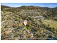 36 Tewksbury Circuit, Theodore ACT 2905