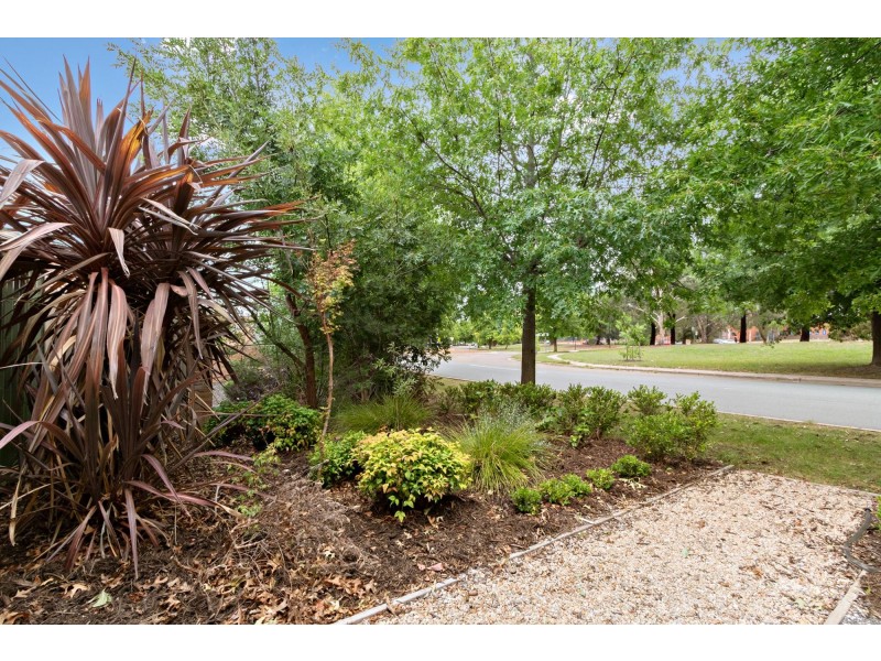 6/7 Sommers Street, Conder ACT 2906