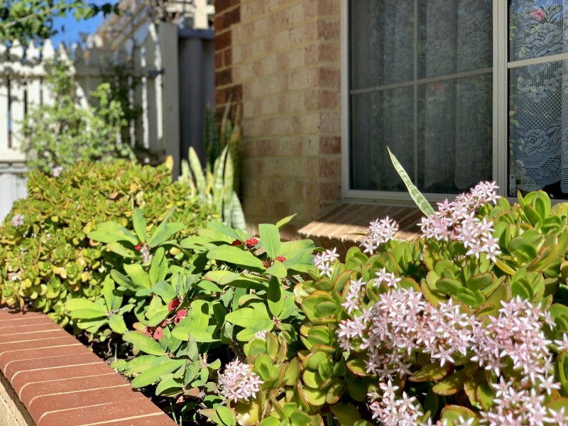 34 Guadalupe Drive, Ballajura WA 6066
