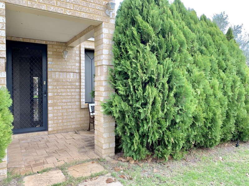 14 Portofino Turn, Ellenbrook WA 6069