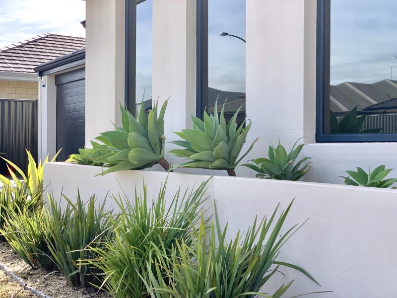 2 Gailey Way, Aveley WA 6069