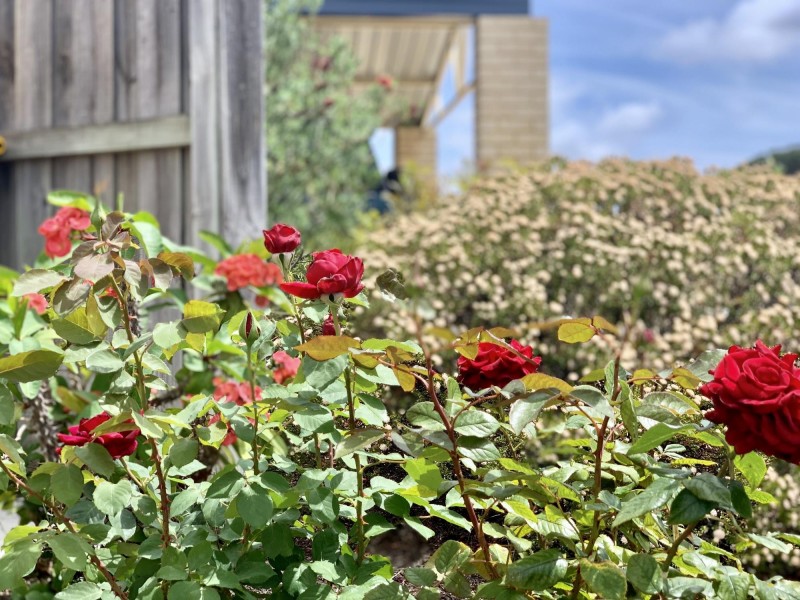 6 Villefort Avenue, Ellenbrook WA 6069