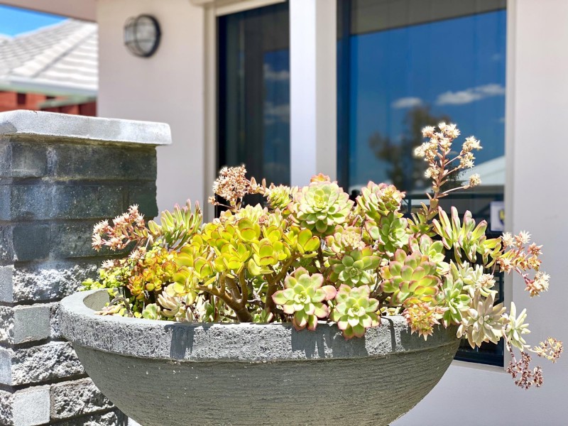 19 Banrock Drive, Ellenbrook WA 6069