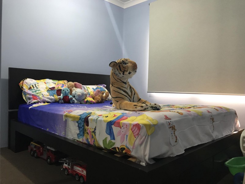 29 Anderton Street, Ellenbrook WA 6069