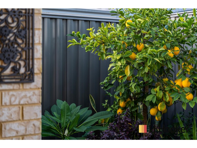 8 Minikin Drive, Aveley WA 6069