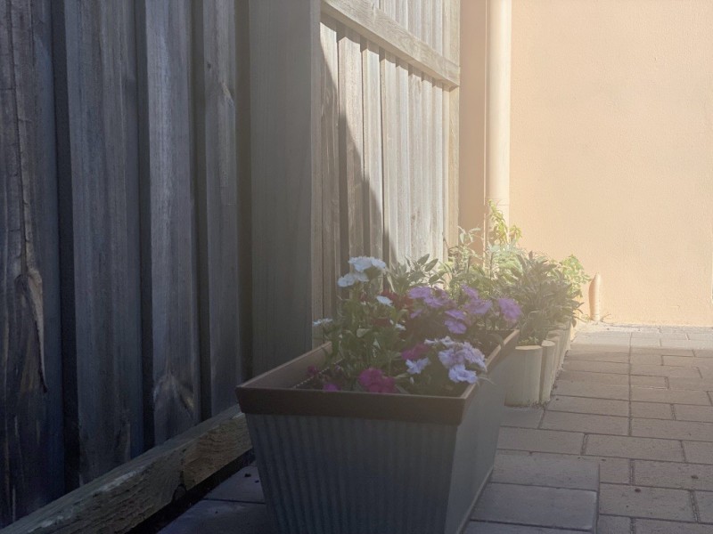 52 MAFFINA PARADE, Ellenbrook WA 6069