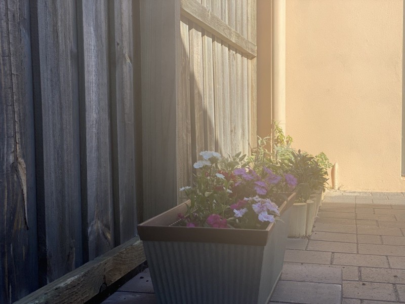 52 MAFFINA PARADE, Ellenbrook WA 6069