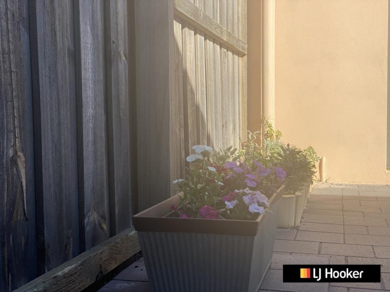 52 MAFFINA PARADE, Ellenbrook WA 6069