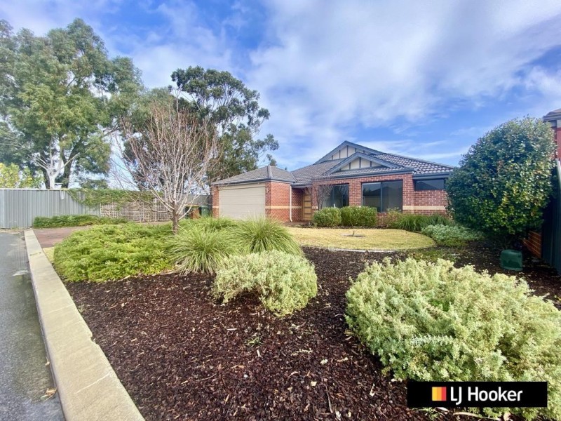 17 Rostratus Link, Dayton WA 6055