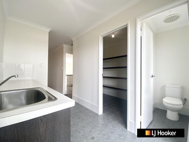 17 Rostratus Link, Dayton WA 6055