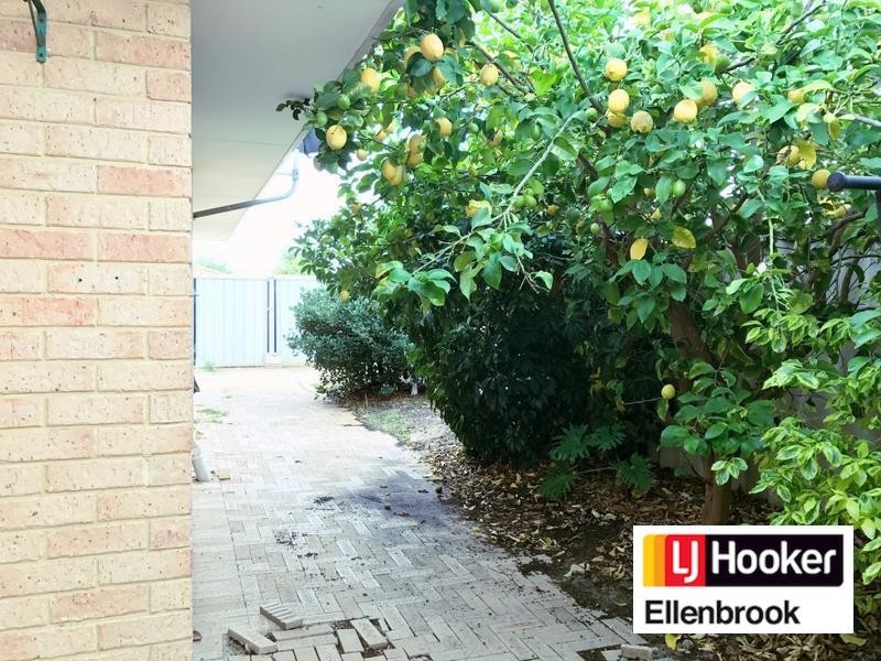 1 Bianchi Place, Alexander Heights WA 6064