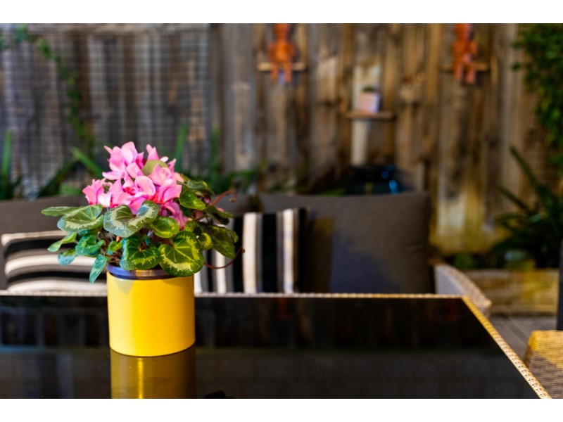 7 Elmina Avenue, Ellenbrook WA 6069