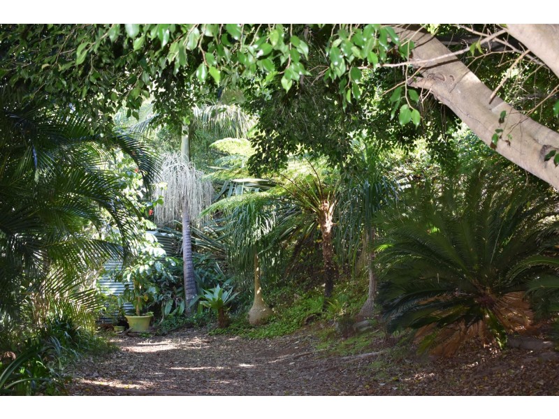 11 Melaleuca Place, Way Way NSW 2447