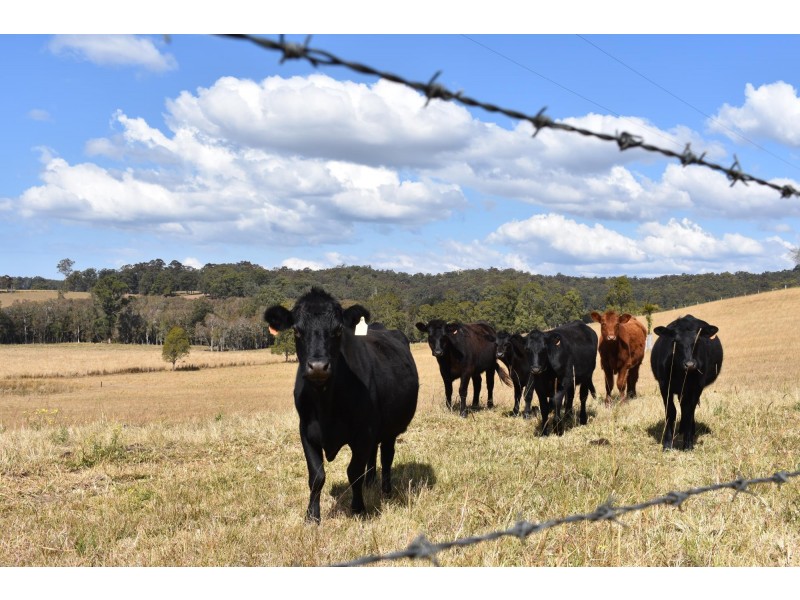 573 Taylors Arm Road, Congarinni NSW 2447