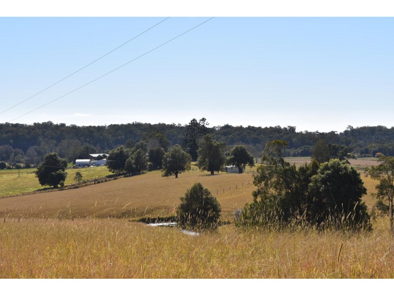 573 Taylors Arm Road, Congarinni NSW 2447