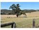 573 Taylors Arm Road, Congarinni NSW 2447