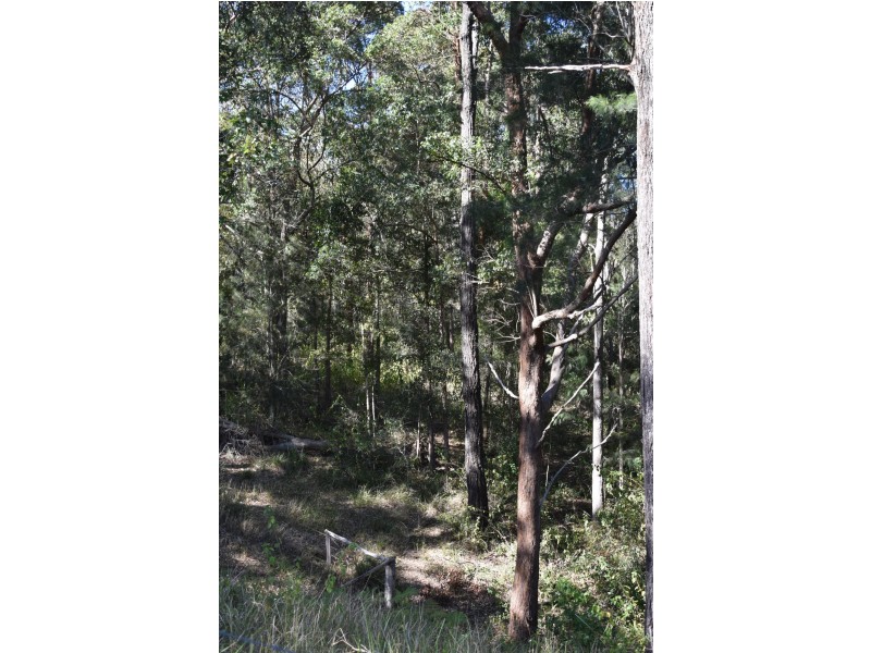 573 Taylors Arm Road, Congarinni NSW 2447