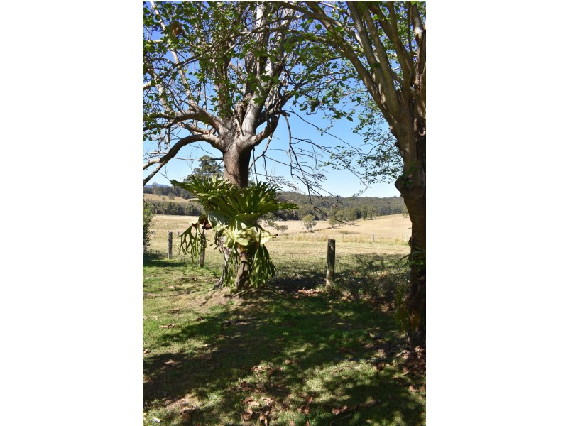 573 Taylors Arm Road, Congarinni NSW 2447