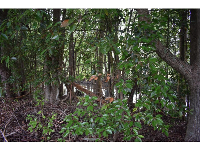 4 Paulownia Place, Bowraville NSW 2449