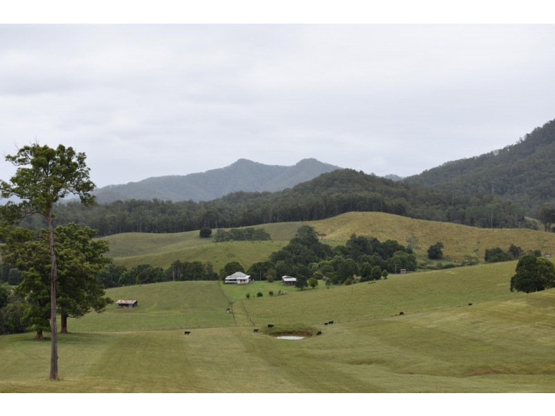 110 Kennaicle Creek Road, Missabotti NSW 2449