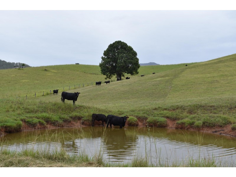 110 Kennaicle Creek Road, Missabotti NSW 2449