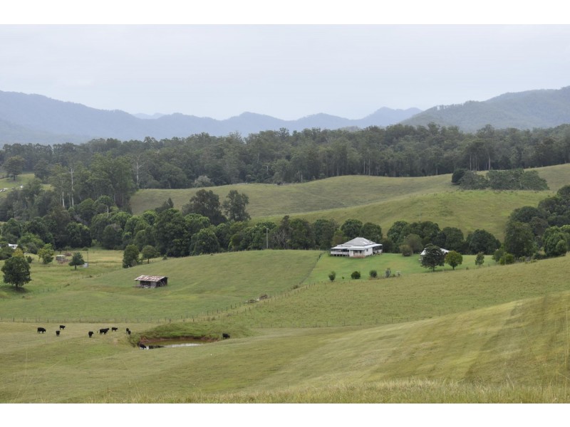 110 Kennaicle Creek Road, Missabotti NSW 2449
