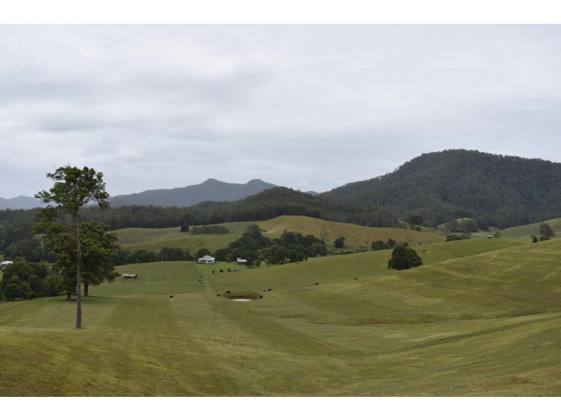 110 Kennaicle Creek Road, Missabotti NSW 2449