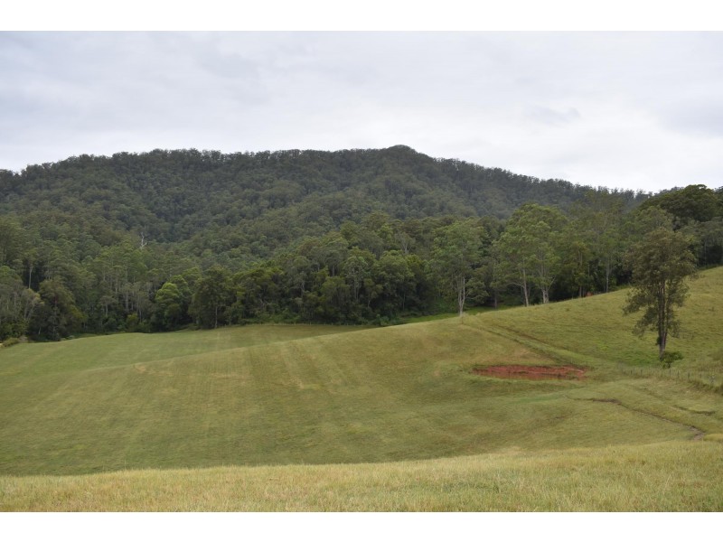 110 Kennaicle Creek Road, Missabotti NSW 2449