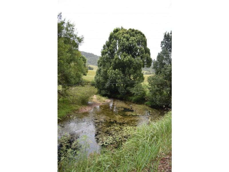 110 Kennaicle Creek Road, Missabotti NSW 2449