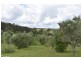 Lot 4 O’Dells Road, Warrell Creek NSW 2447