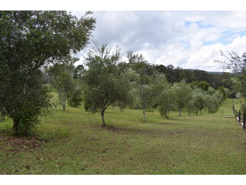 Lot 4 O’Dells Road, Warrell Creek NSW 2447