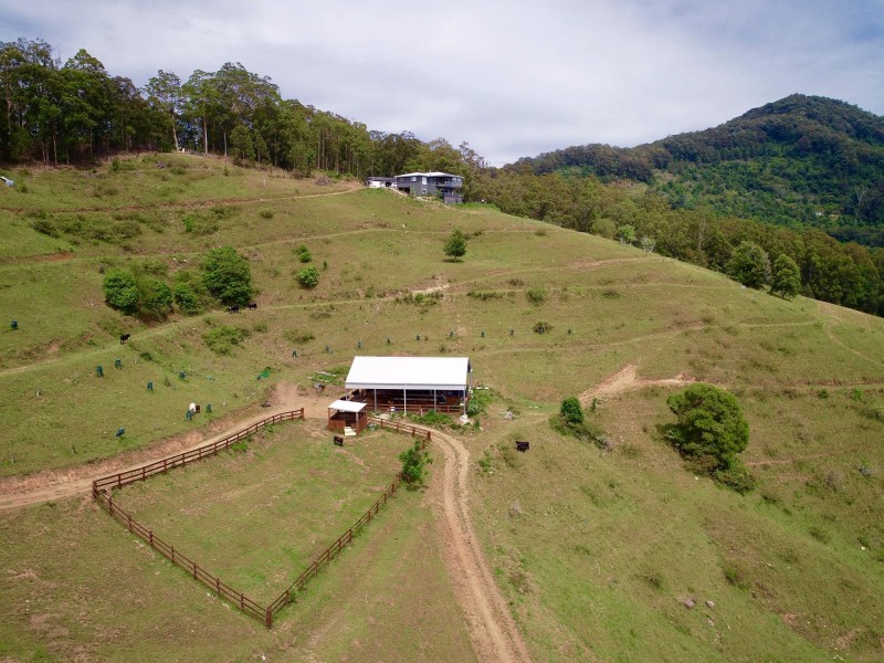 176 Whip Mountain Road, Yarranbella NSW 2447