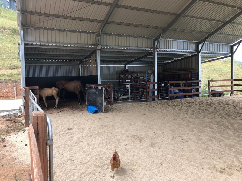 176 Whip Mountain Road, Yarranbella NSW 2447