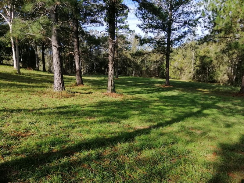 Lot 8 Rosemary Gardens, Macksville NSW 2447