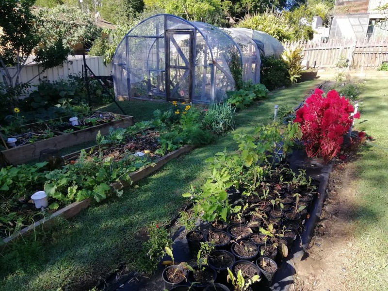 168 Wallace Street, Macksville NSW 2447