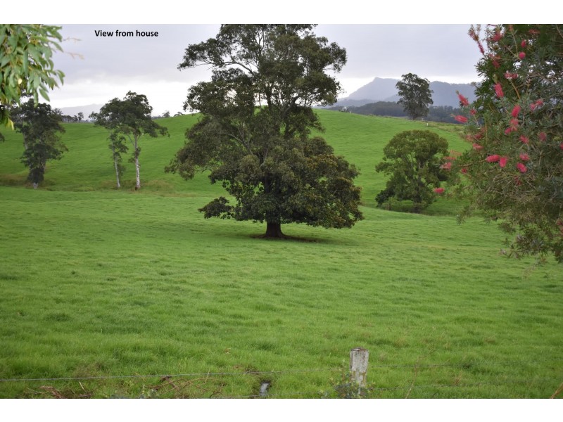 530 Lower Buckra Bendinni Road, Bowraville NSW 2449