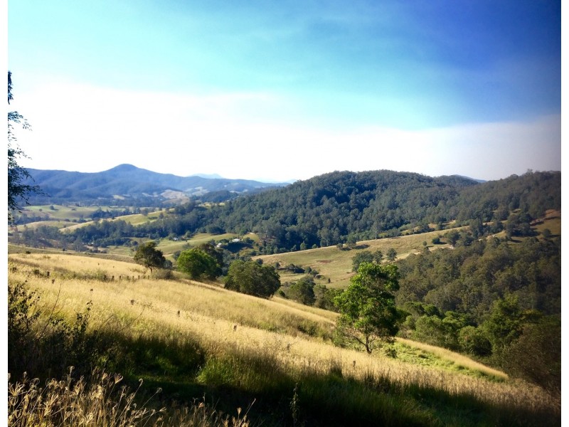 488 Greenhills Road, Bakers Creek NSW 2447