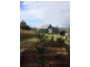488 Greenhills Road, Bakers Creek NSW 2447
