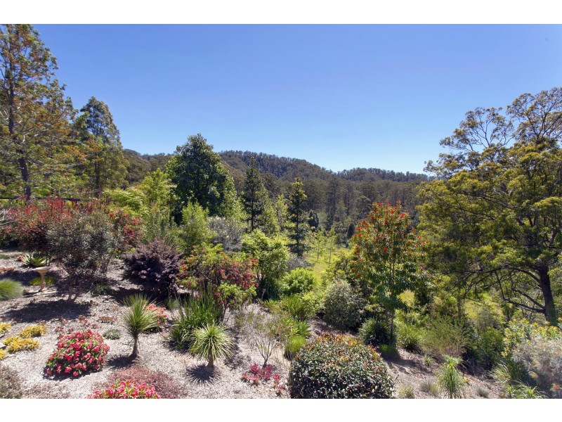 697 Bellingen Road, Missabotti NSW 2449