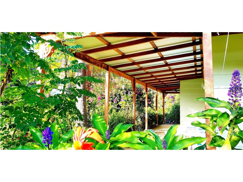 183 Soldier Settlers Road, Nambucca Heads NSW 2448